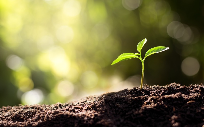 Corporate Social Responsibility (CSR)