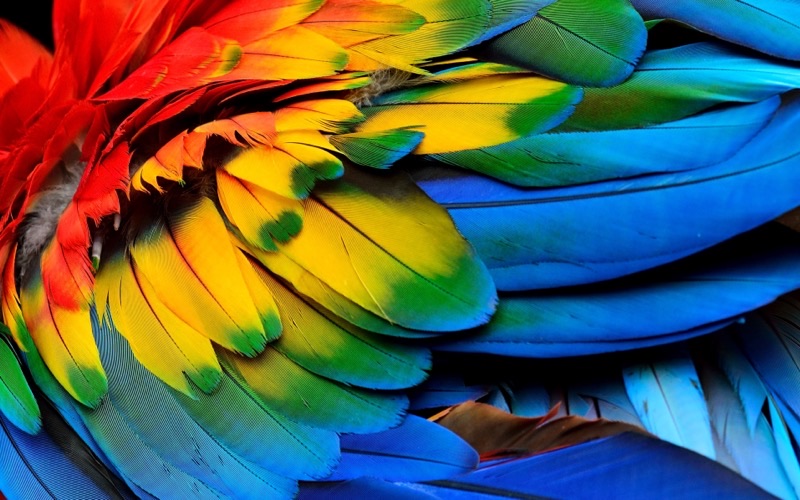 Creativity in Communications and PR