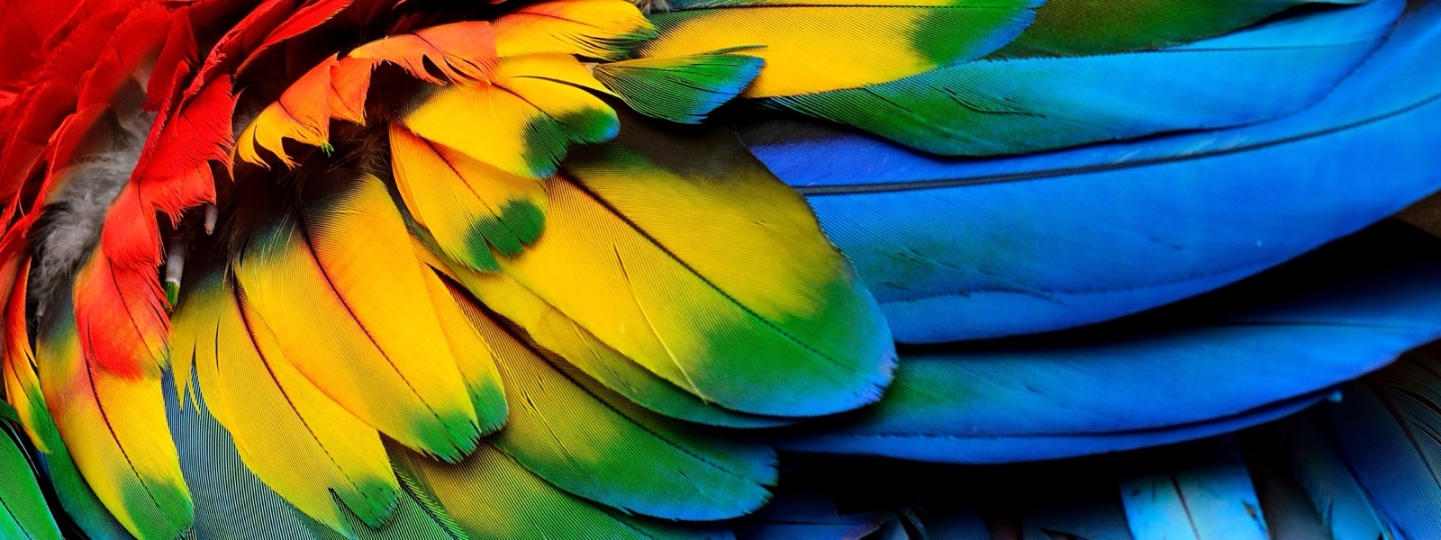 Creativity in Communications and PR
